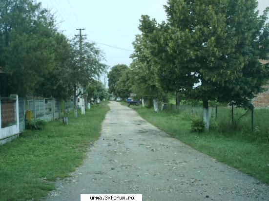 strada aurel vlaicu poze din teius