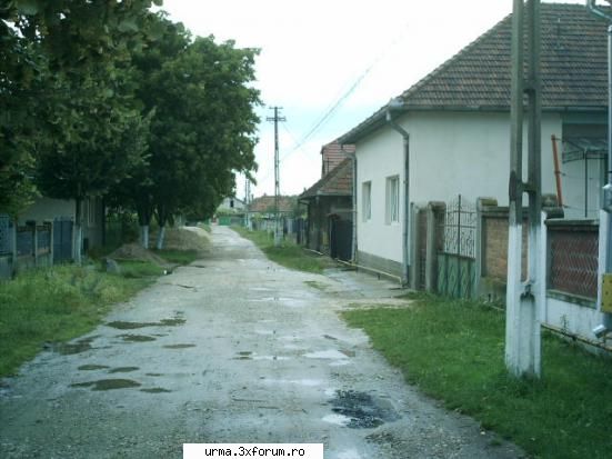 strada aurel vlaicu poze din teius